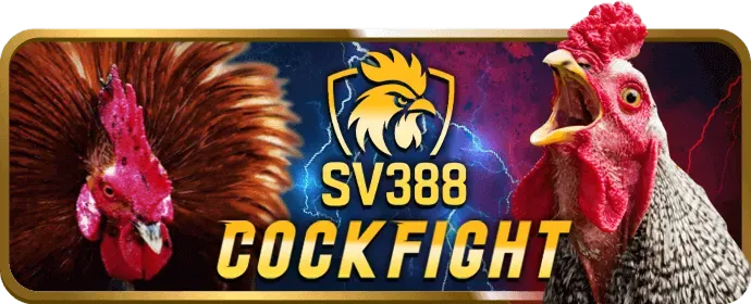 Hướng dẫn tải game B52 Win APK và đăng ký tài khoản
